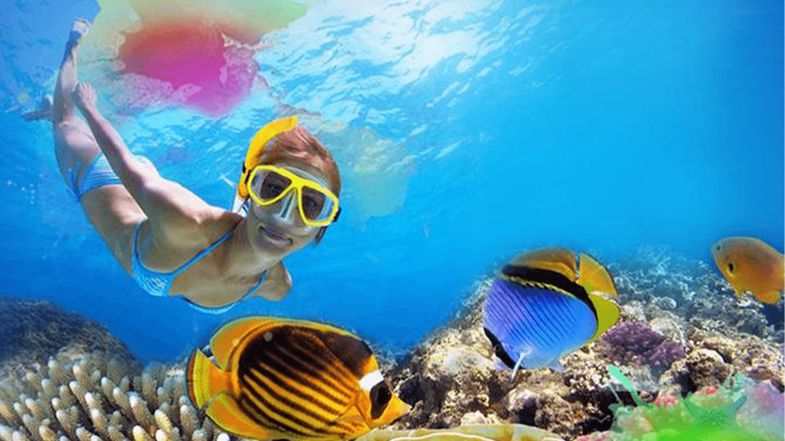 Snorkling 1 hour 3-1600X900