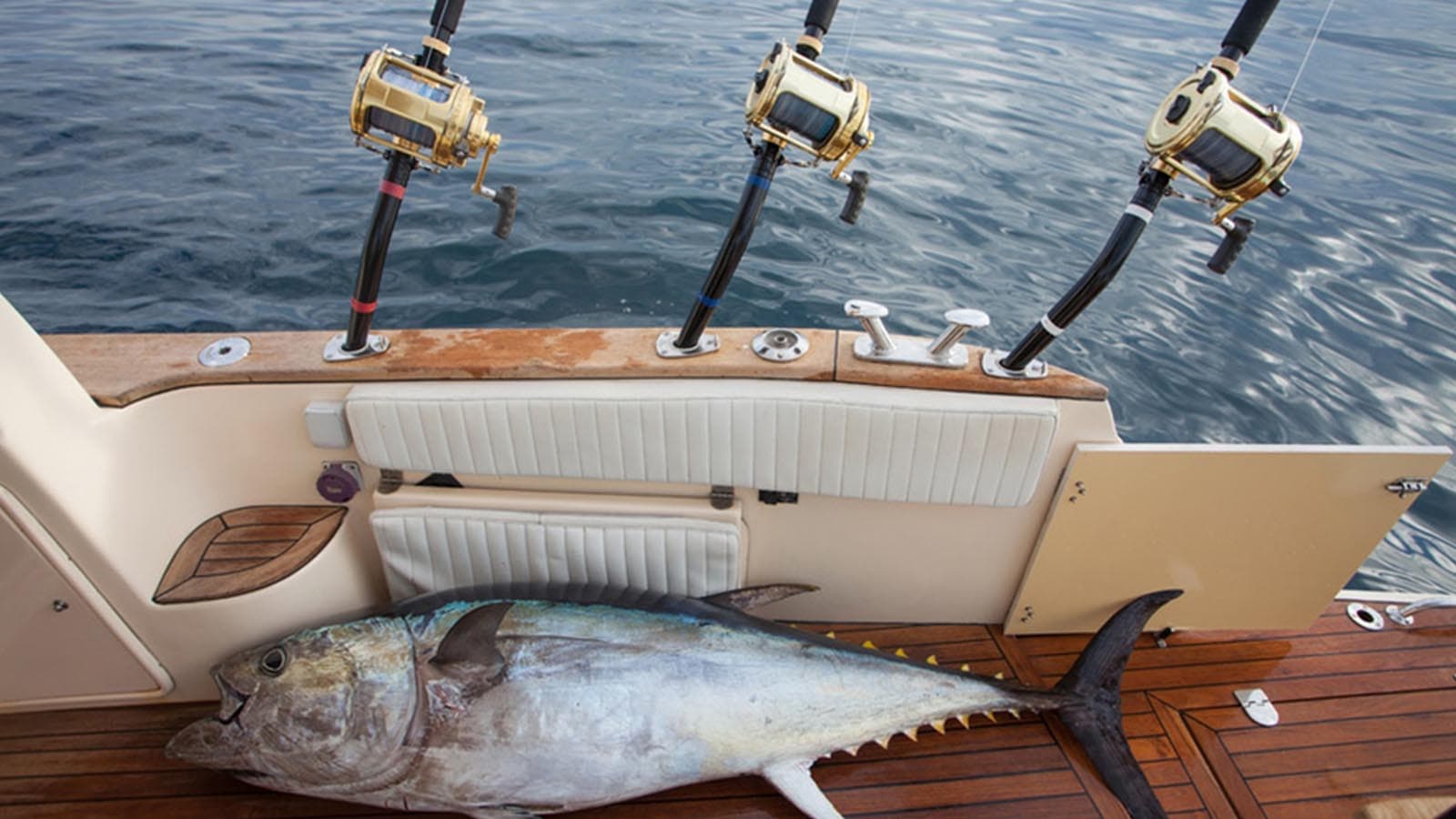 Trolling Fishing 111600X900_0002_Trolling Fishing2
