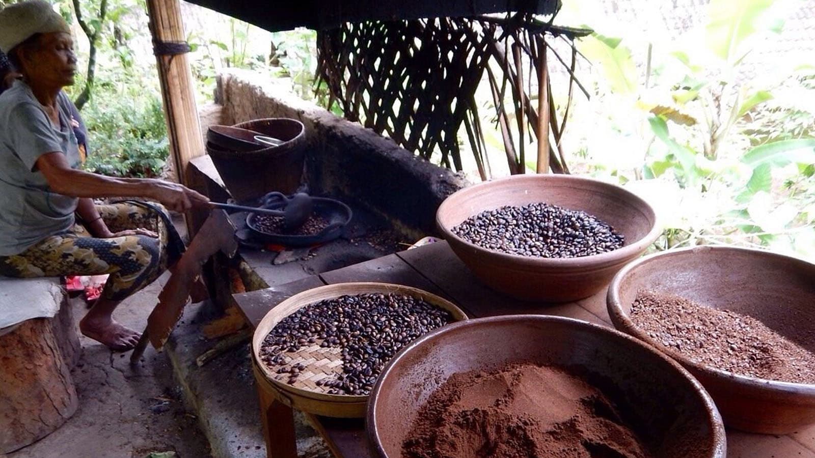 coffee-plantation5-1600X900
