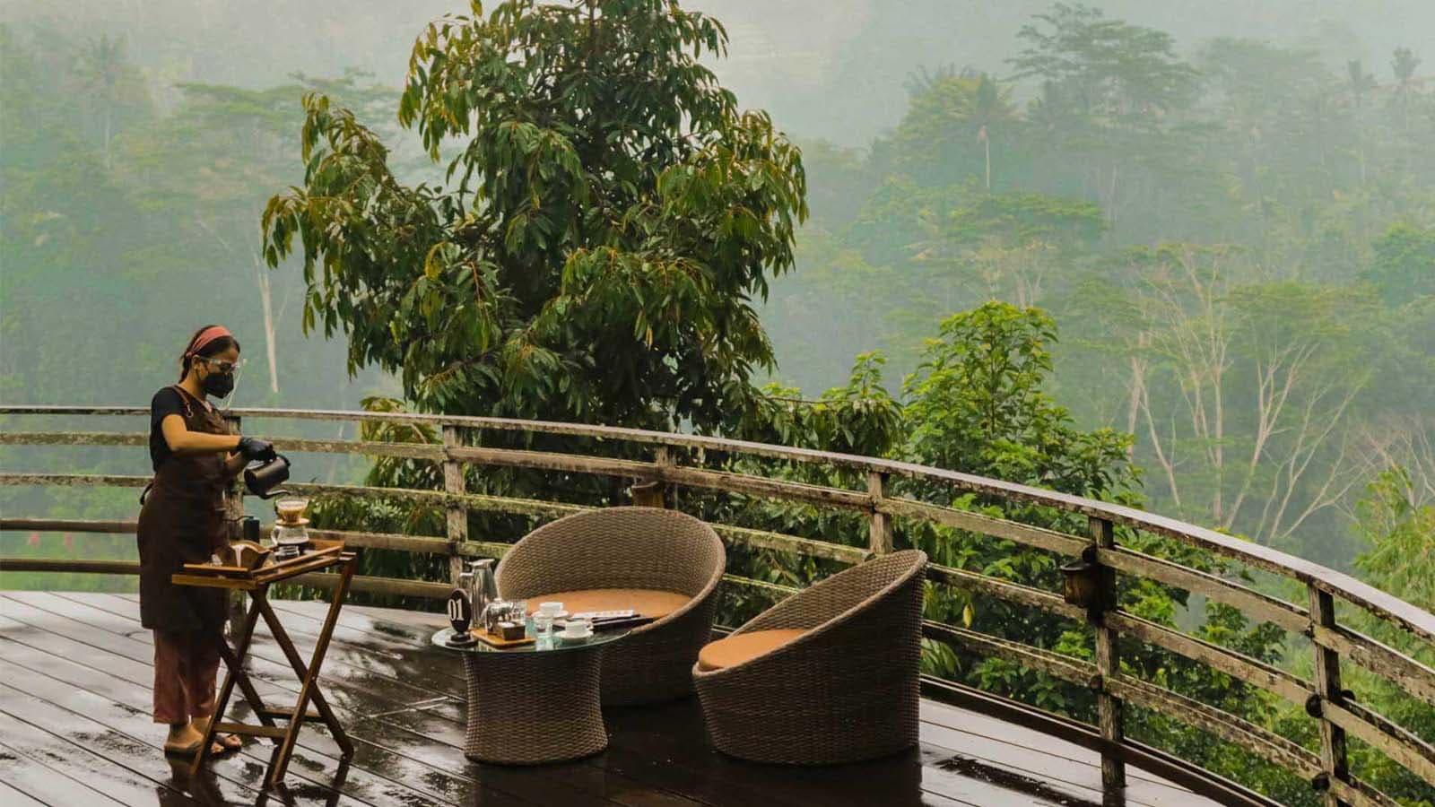 coffee-plantation6-1600X900