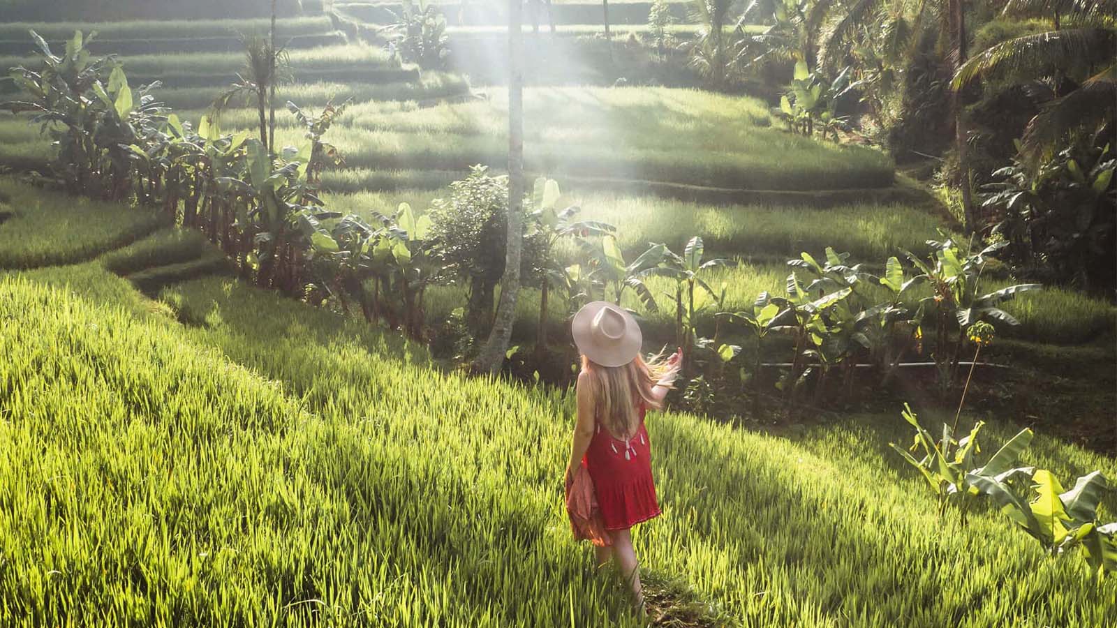 tegalalang-rice-terrace2-1600x900